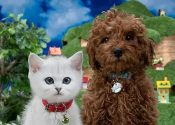 Canadian Preschool Series “Mittens & Pants” to Debut in the U.S. on NBCU’s Peacock