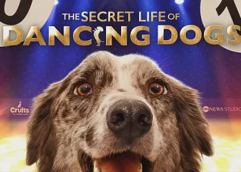ABC News Studios’ “The Secret Life of Dancing Dogs” Follows a Pack of Handlers and Their Canine Dance Partners as They Prepare for the World’s Greatest Dancing Dog Show [VIDEO]
