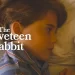 Apple TV+ Reveals the Heartwarming Trailer for All-New Kids and Family Live-Action Animated Hybrid Special, “The Velveteen Rabbit,” Launching Globally November 22 [VIDEO]