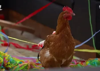 “LOL: Last One Laughing Quebec” – Season 2 – Prime Video [VIDEO]