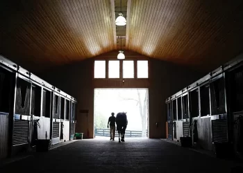 FX Sets The New York Times Presents: “Broken Horses”