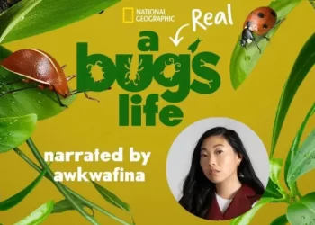 National Geographic’s “A Real Bug’s Life” Premieres Wednesday, January 24 on Disney+ [VIDEO]