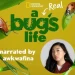 National Geographic’s “A Real Bug’s Life” Premieres Wednesday, January 24 on Disney+ [VIDEO]