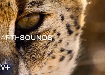 Apple TV+ Reveals the World Premiere and Trailer for New Docuseries “Earthsounds,” Narrated by Golden Globe Winner and Emmy Award Nominee Tom Hiddleston [VIDEO]