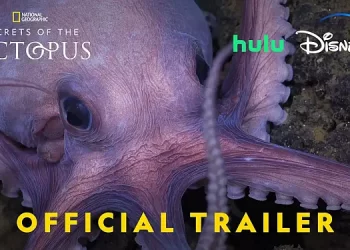 Nat Geo Taps Actor Paul Rudd to Narrate “Secrets of the Octopus,” The Next Installment in Its Emmy-Winning Earth Day Franchise from EP James Cameron [VIDEO]