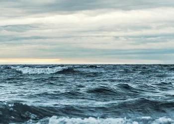 PBS Shines Spotlight on Vital Ocean-Focused Programming Complementing the Ongoing Environmental and Climate Programming Initiative