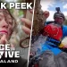New Terrain Brings Fresh Challenges When USA Network’s “Race to Survive: New Zealand” Premieres Monday, May 20 @ 11PM ET/PT [VIDEO]