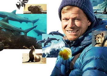 National Geographic Announces Second Season of Disney+ Original Series, “Animals Up Close with Bertie Gregory”