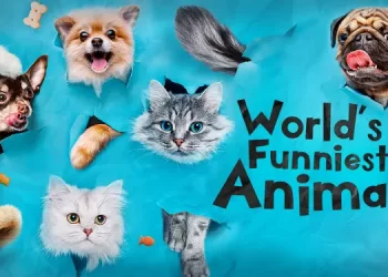 The CW Sets the Return of “Masters of Illusion,” “World’s Funniest Animals” for Thursday, June 20