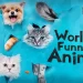 The CW Sets the Return of “Masters of Illusion,” “World’s Funniest Animals” for Thursday, June 20