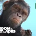 Official Hulu Trailer for “Kingdom of the Planet of the Apes” [VIDEO]