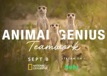 “Animal Genius” Premieres on National Geographic September 8 @ 10PM/9c and Streams Next Day on Hulu
