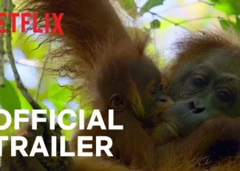 Official Netflix Trailer for “Secret Lives of Orangutans” Thursday, August 22 [VIDEO]