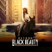 Prime Video Releases Trailer and Premiere Date for “Beyond Black Beauty” [VIDEO]