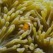 National Geographic Plans Future with Bold, New Unscripted Series with Storytelling Dynamism, Technical Innovation, and Extraordinary Access