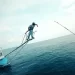 Discovery Follows Elite New England Fisherman as They Spear Big Game Fish Worth Thousands in “Harpoon Hunters,” Premiering January 24 @ 9PM ET/PT [VIDEO]