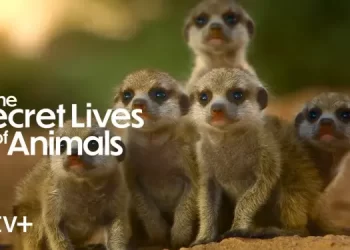 Apple TV+ Unveils Trailer for Stunning Docuseries “The Secret Lives of Animals” [VIDEO]