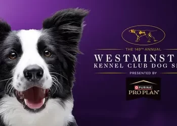 FOX Sports Presents the 149th Annual Westminster Kennel Club Dog Show Presented by Purina Pro Plan February 8, 10 & 11