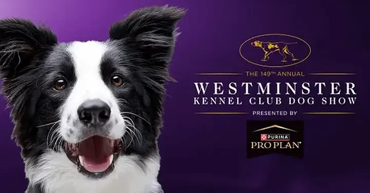 FOX Sports Presents the 149th Annual Westminster Kennel Club Dog Show Presented by Purina Pro Plan February 8, 10 & 11