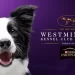 FOX Sports Presents the 149th Annual Westminster Kennel Club Dog Show Presented by Purina Pro Plan February 8, 10 & 11