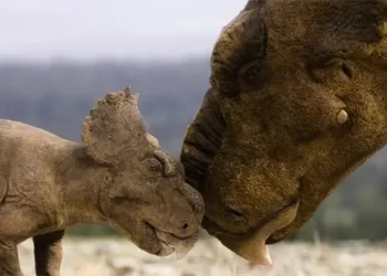 PBS and BBC Release First-Look Images from the Series “Walking with Dinosaurs” Premiering Later This Year