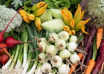 Farmer Lee Jones Creates Dishes Inspired by the Farm in “The Chef’s Garden” Premiering January 27 on FYI