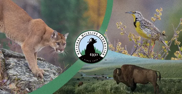 NBC Announces “Come Together for Nature” Impact Campaign & Strategic Partnerships Centered Around Epic Nature Documentary Series “The Americas,” Narrated by Tom Hanks