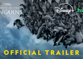National Geographic Releases New Trailer for “Secrets of the Penguins,” Revealing Breathtaking Cinematography and Never-Before-Seen Behaviors [VIDEO]