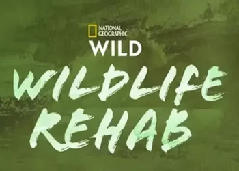 Series Premiere “Wildlife Rehab” Saturday, March 29 on Nat Geo Wild @ 10PM ET