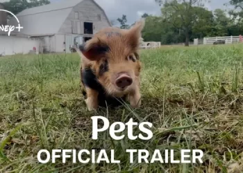 Disney+ Debuts a Trailer for the Heartwarming Documentary “Pets” from Director Bryce Dallas Howard & Imagine Documentaries [VIDEO]