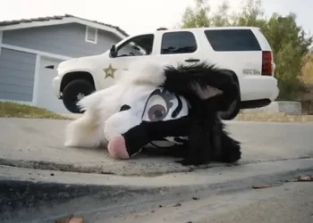 SundanceTV and Sundance Now Announce Debut of Gripping True Crime Docu-Series, “The Furry Detectives: Unmasking a Monster”