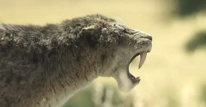 Apple TV+ Announces “Prehistoric Planet: Ice Age”