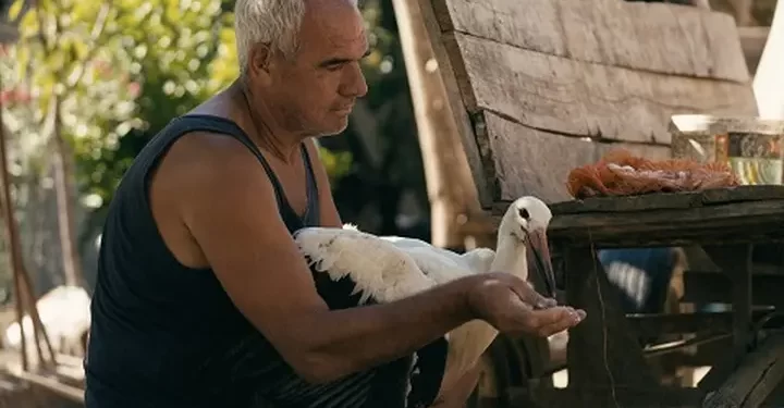 National Geographic Documentary Films Acquires Venice Film Festival Award-Winner “The Tale of Silyan”