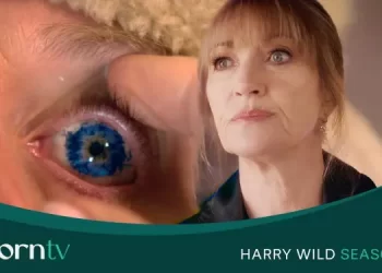 Acorn TV’s Fan Favorite Crime Drama “Harry Wild” Returns for a Feature-Length Special on November 24 [VIDEO]
