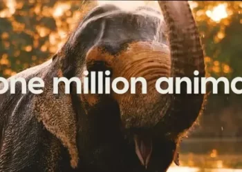 Wildlife Series, “Vantara: Sanctuary Stories,” Hosted by Biologist and Adventurer Forrest Galante Premieres Friday, November 7 @ 9PM ET/PT on Animal Planet [VIDEO]