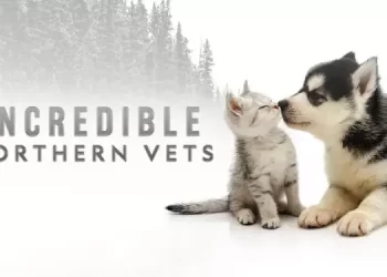 Incredible Northern Vets, on Nat Geo WILD